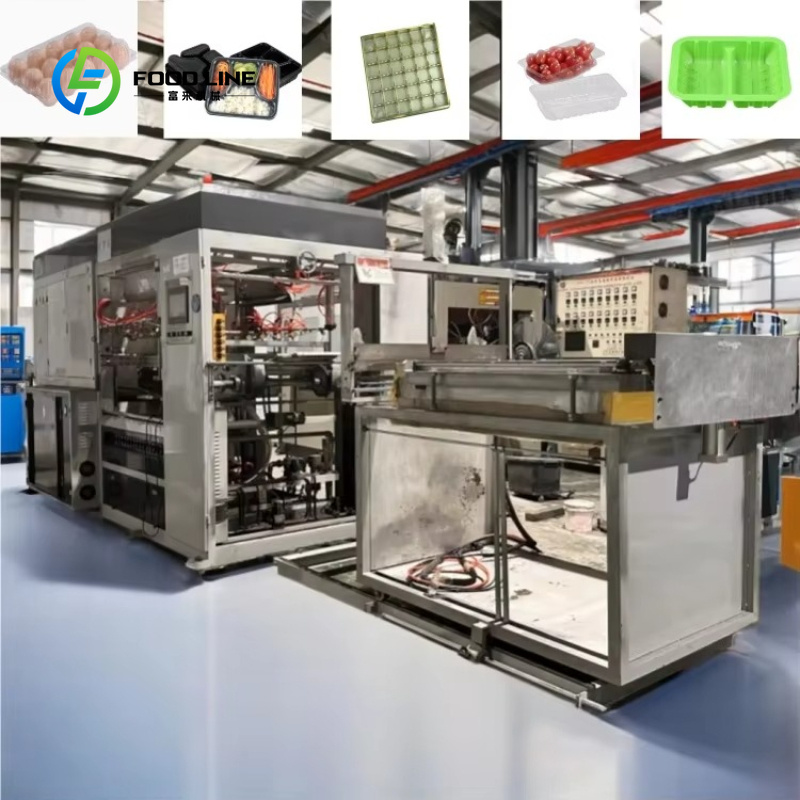 Food Storage Technology - Automatyczna maszyna do produkcji niestandardowych pojemników