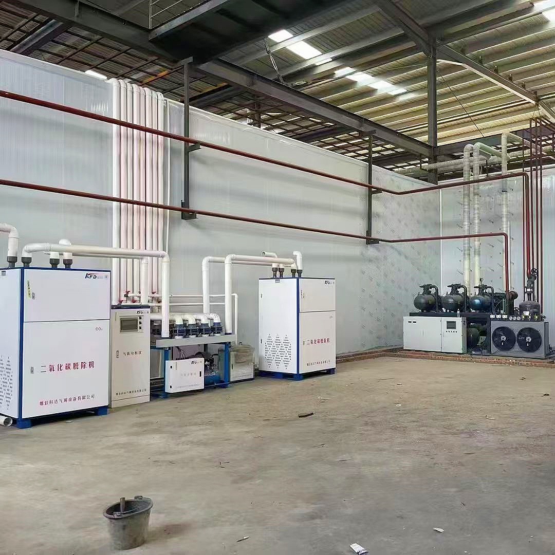 Adsorbent dwutlenku węgla wyko – Food Storage Technology recenzja i cena